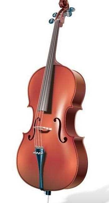 贵阳大小提琴批发