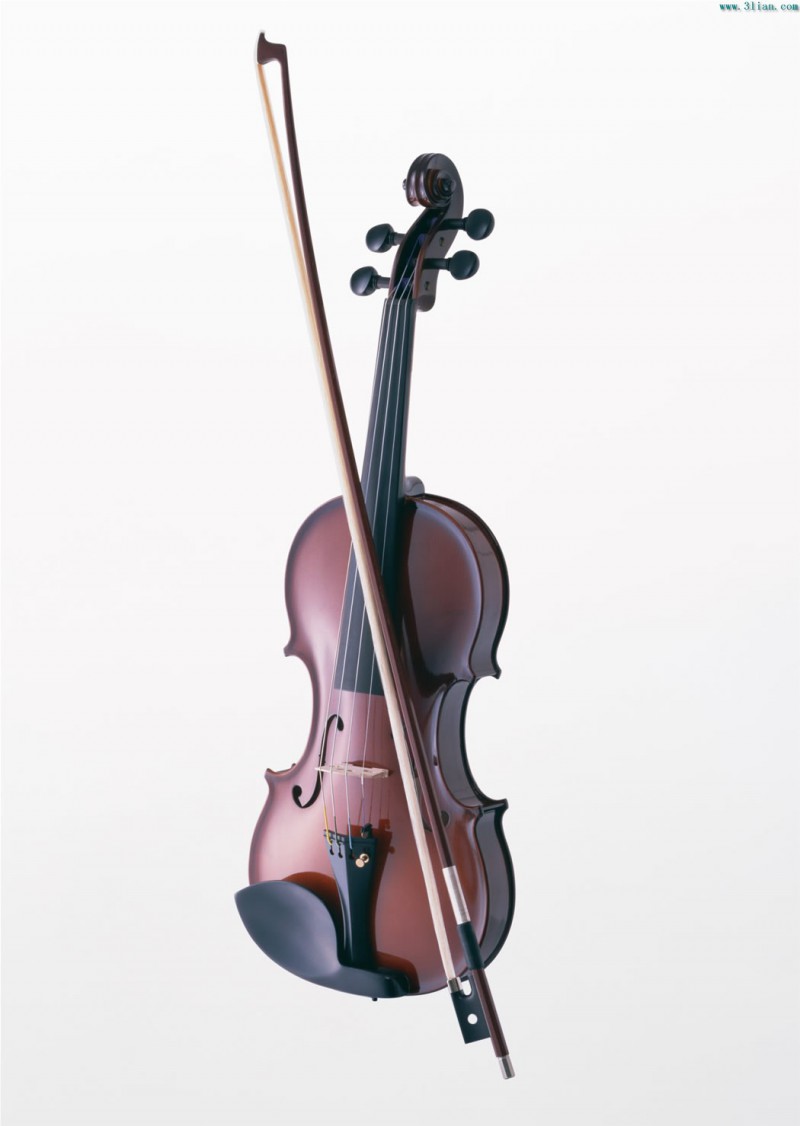 贵州大小提琴