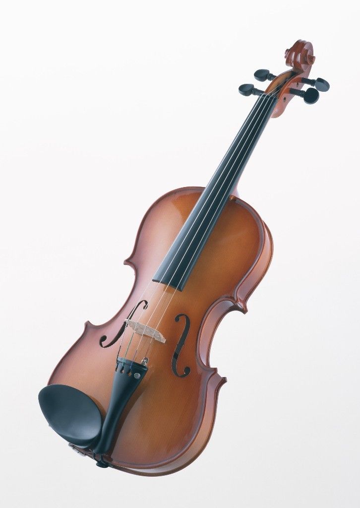 贵州大小提琴
