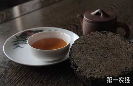 贵阳安化黑茶