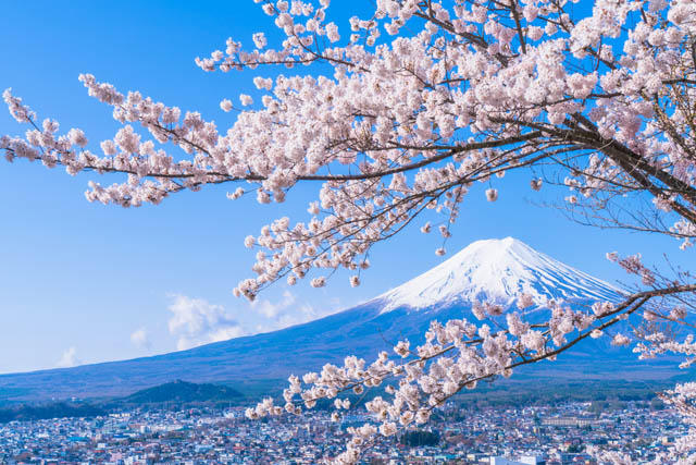 贵州到日本旅游