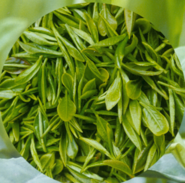 凤岗锌硒茶
