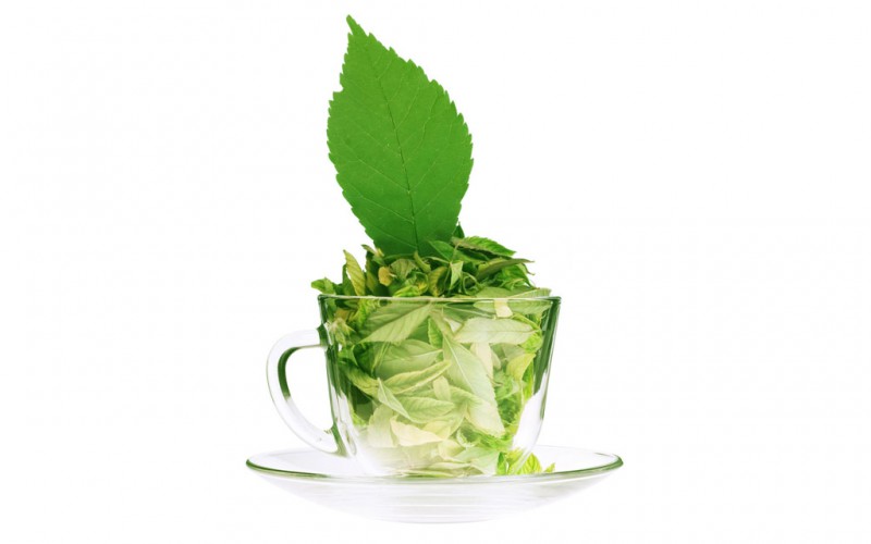 凤岗绿茶