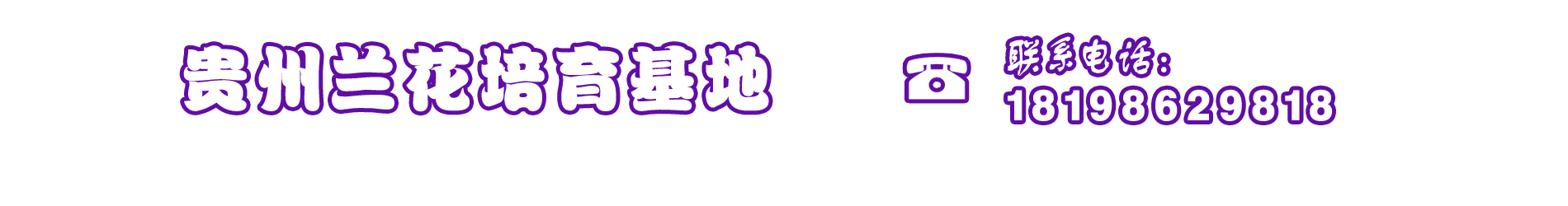 贵州兰花培育基地