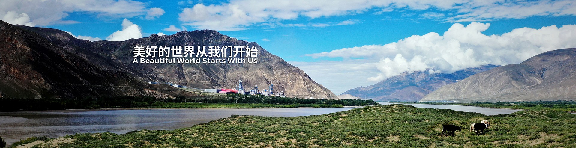 贵州水泥有限公司