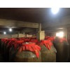 酱香白酒礼品
