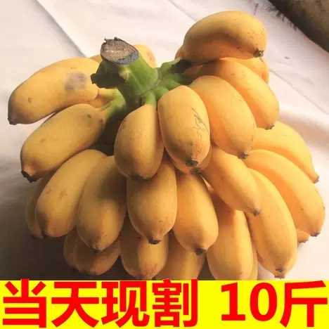 产品展示
