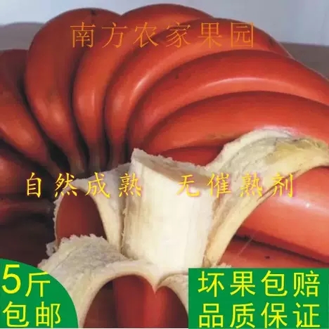 产品展示