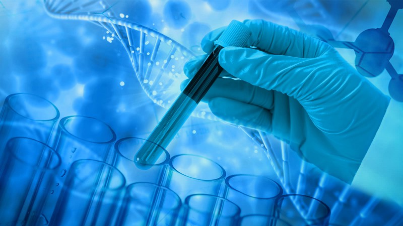 ADSCiβ修复糖尿病