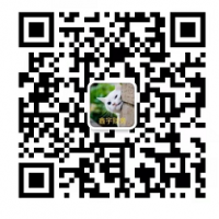 贵州鑫宇财务服务咨询有限公司