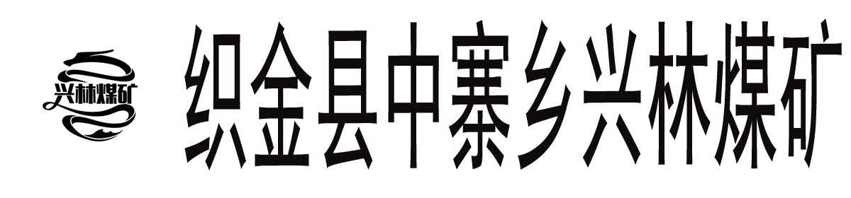 贵州兴伟兴能源投资有限公司织金县中寨乡兴林煤矿
