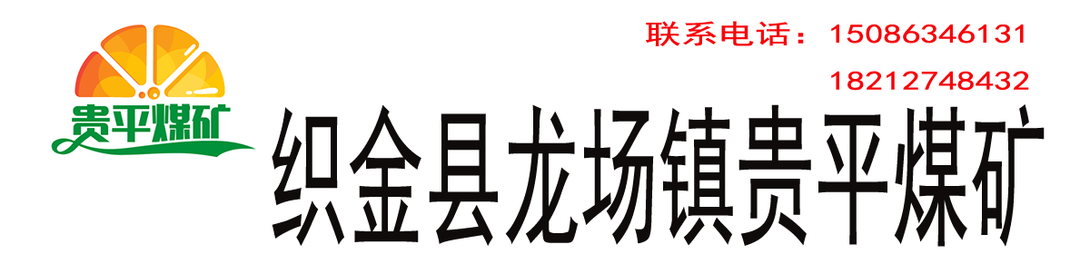 贵州鲁中矿业有限责任公司织金县龙场镇贵平煤矿