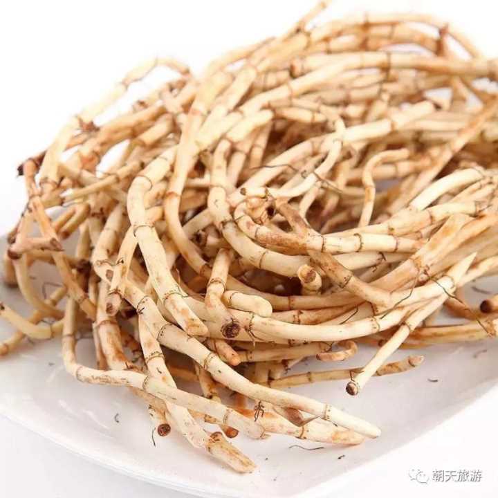 贵州折耳根