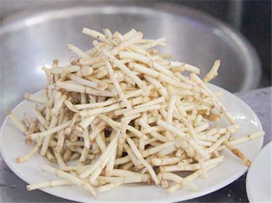 贵州折耳根