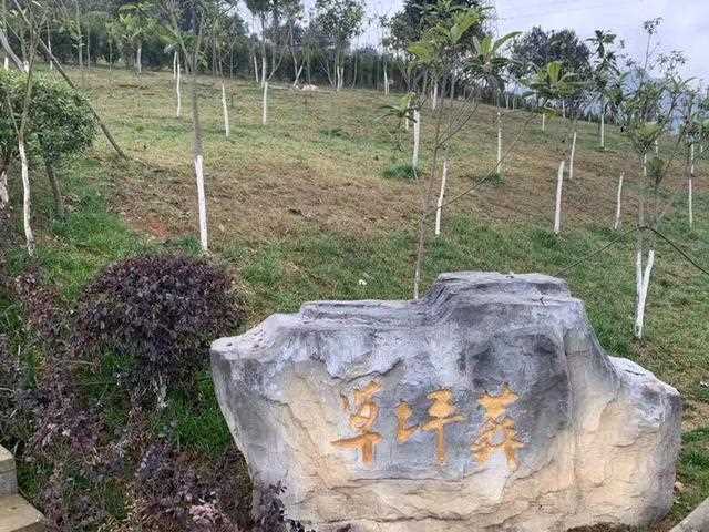 贵阳天龙山公墓电话