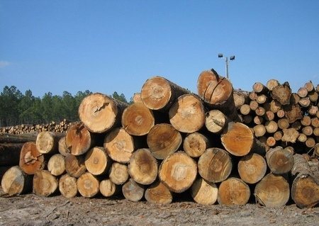 贵州废旧木材回收