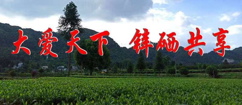 凤冈红锌硒茶有限公司