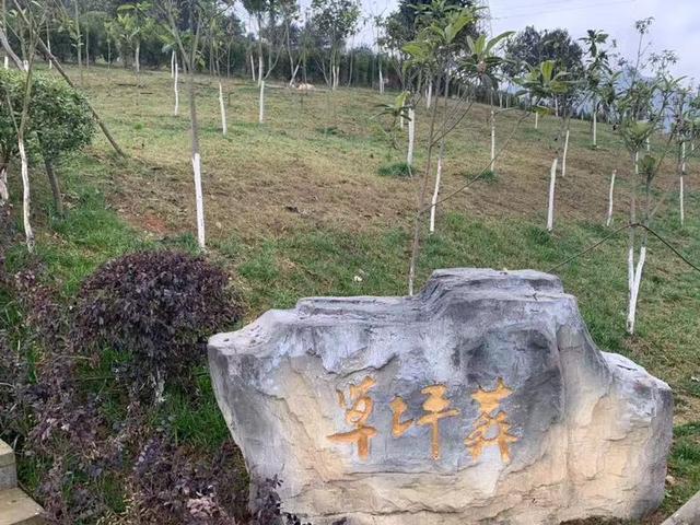貴陽周家山公墓開放時間