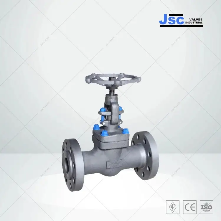 Integral Flanged Gate Valve