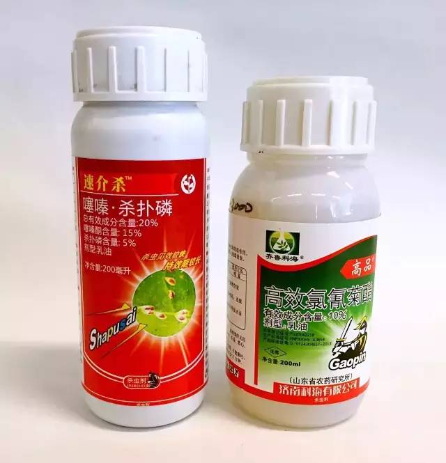 果蔬清洗-杀扑磷