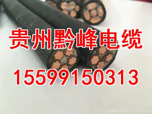 贵阳电线电缆公司