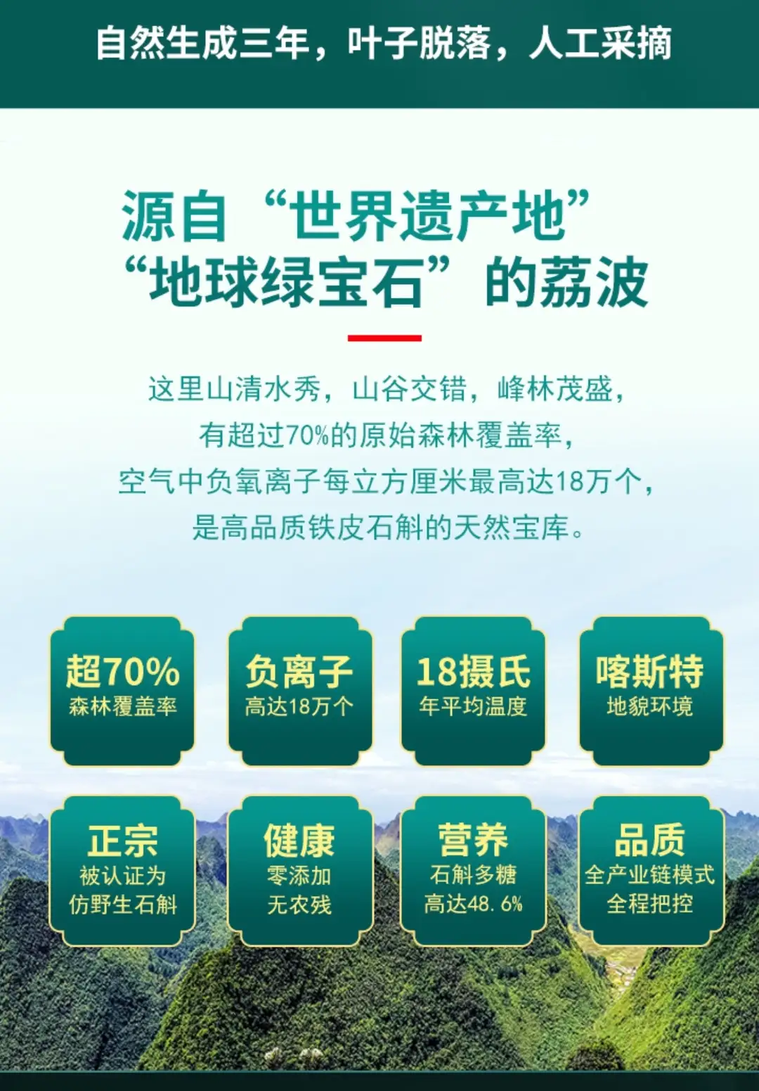 荔美集团康旅生态产业链
