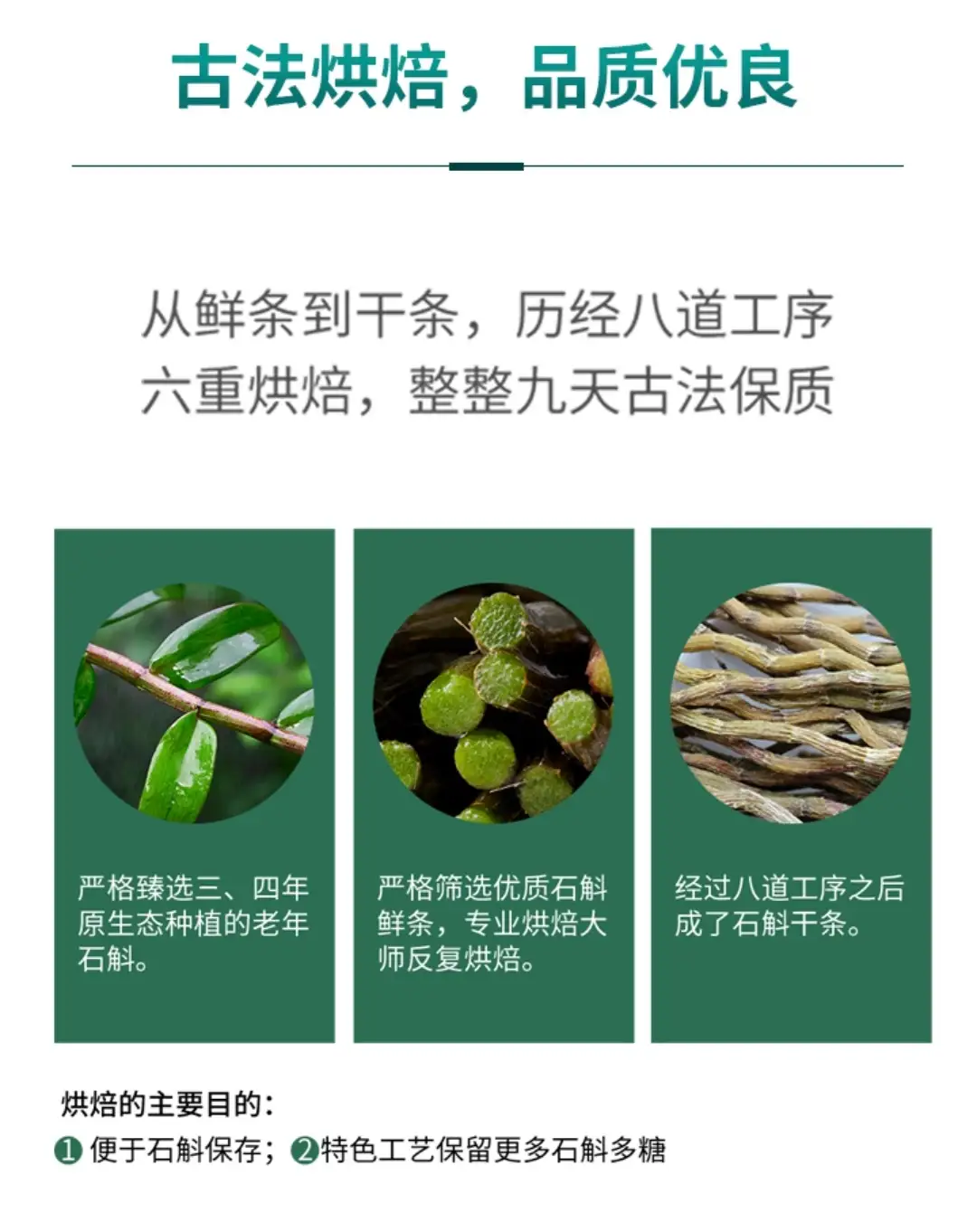 荔美集团康旅生态产业链
