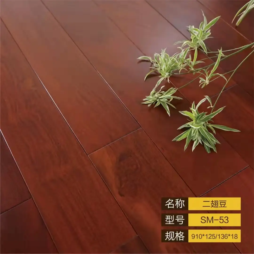 二翅豆SM-53