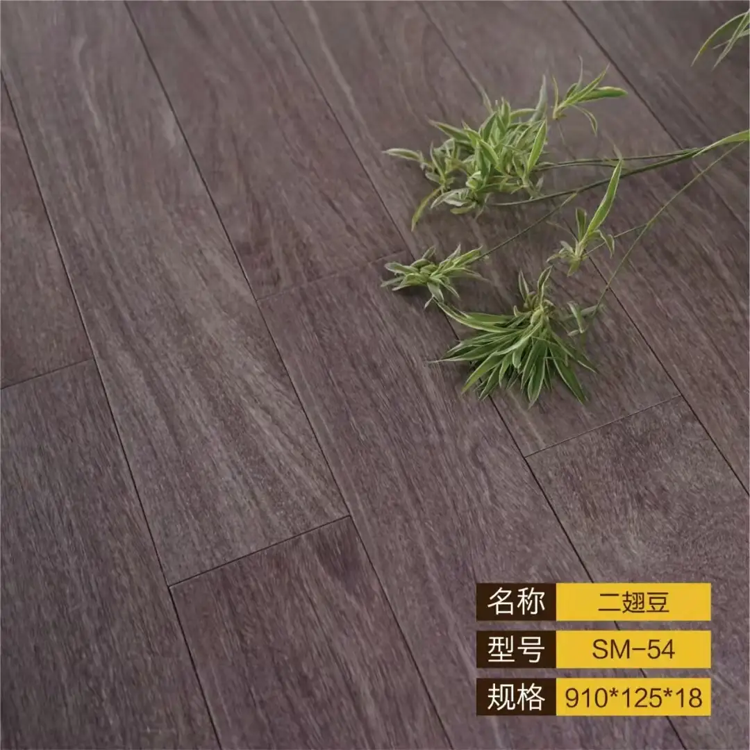 二翅豆SM-54