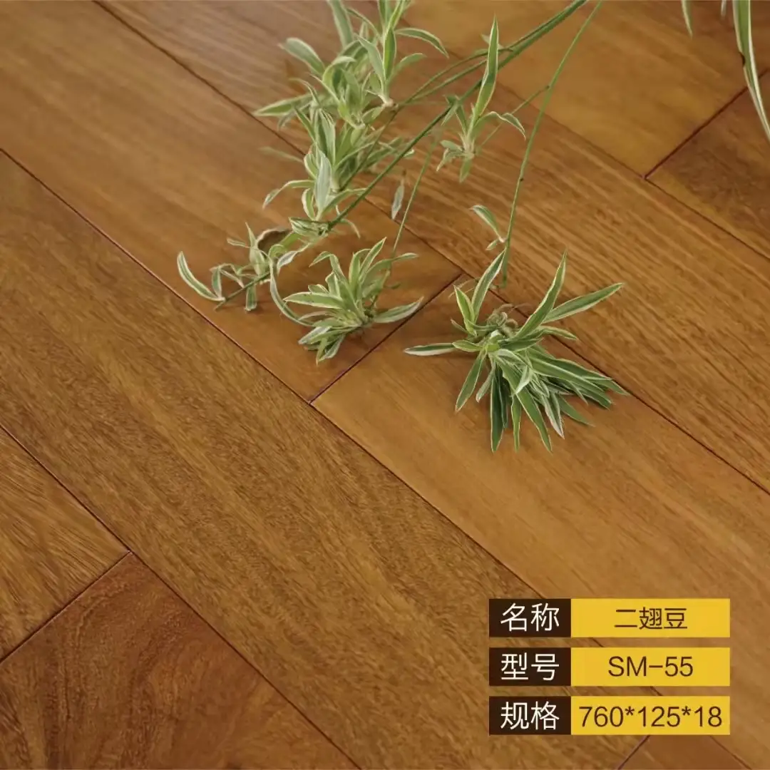 二翅豆SM-55
