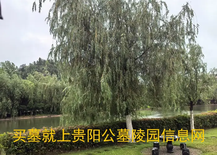 贵阳公墓有哪些 贵阳墓地价格