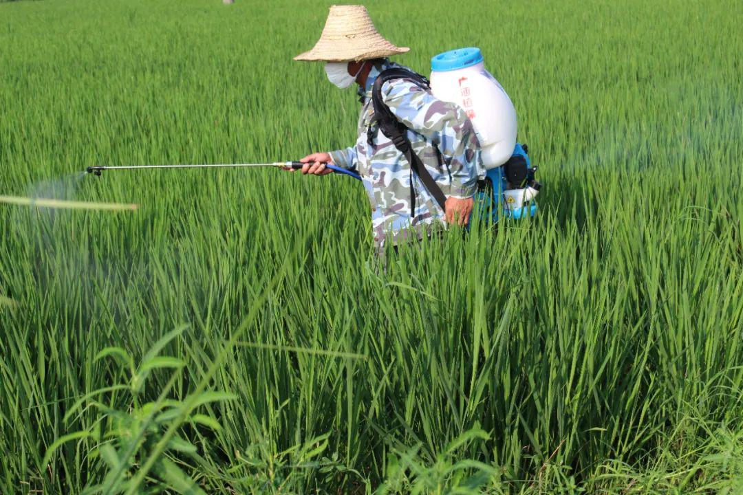 贵阳拌种剂批发电话