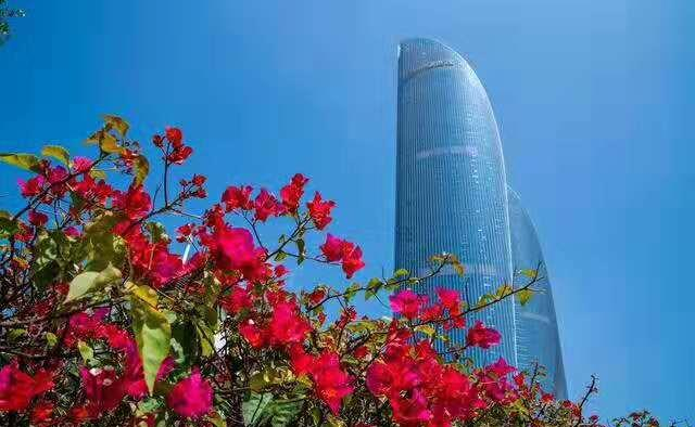 厦门诚信贷款咨询电话