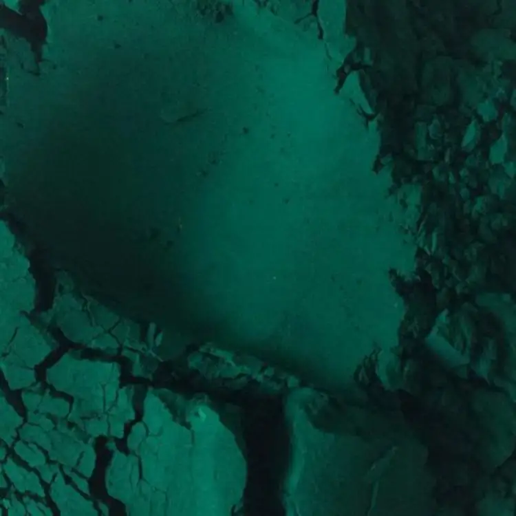 酞菁绿常用的颜料类型