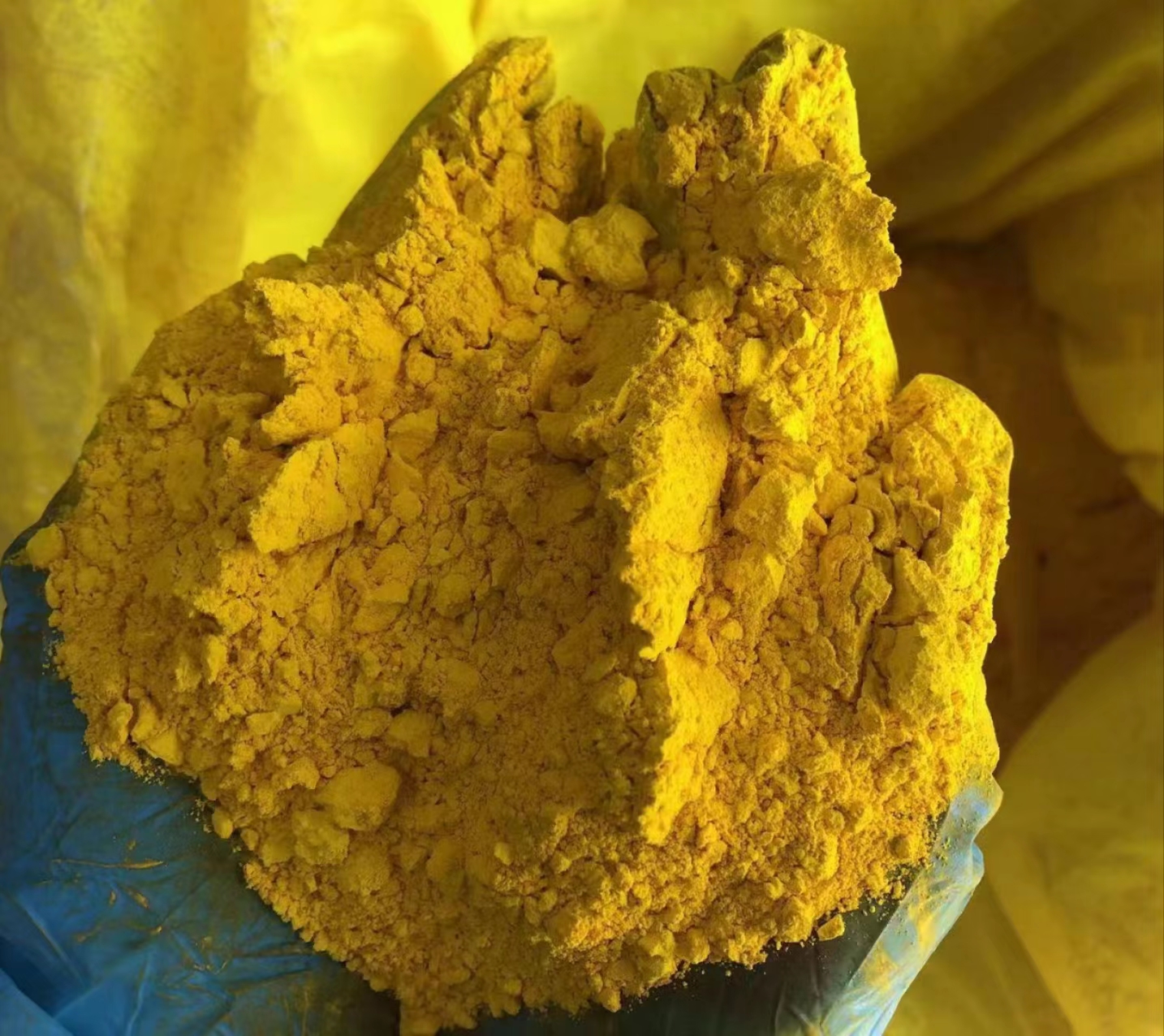 永固黄如何点亮千万生活场景