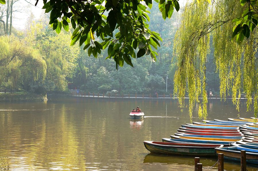 成都贷款咨询助贷服务电话