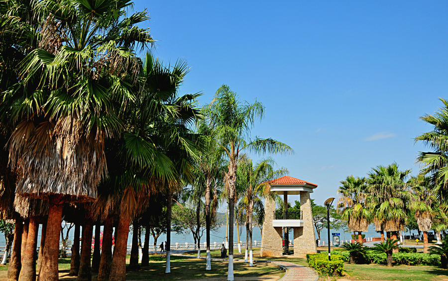 厦门贷款咨询助贷公司电话