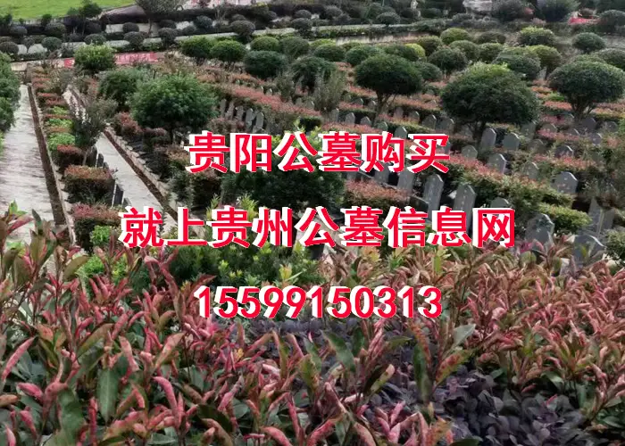 惠水龙王山公墓陵园