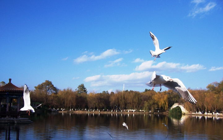 昆明贷款咨询服务公司电话