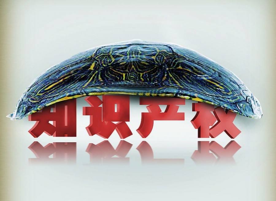贵阳知识产权办理登记